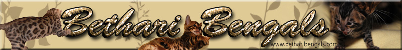 Banner Bethari